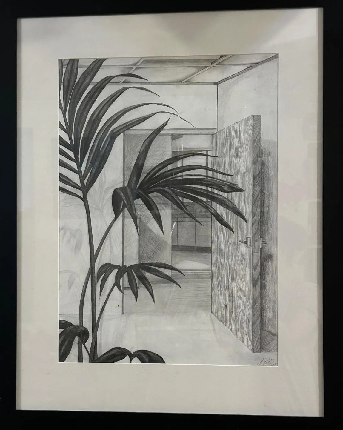 Plant Life