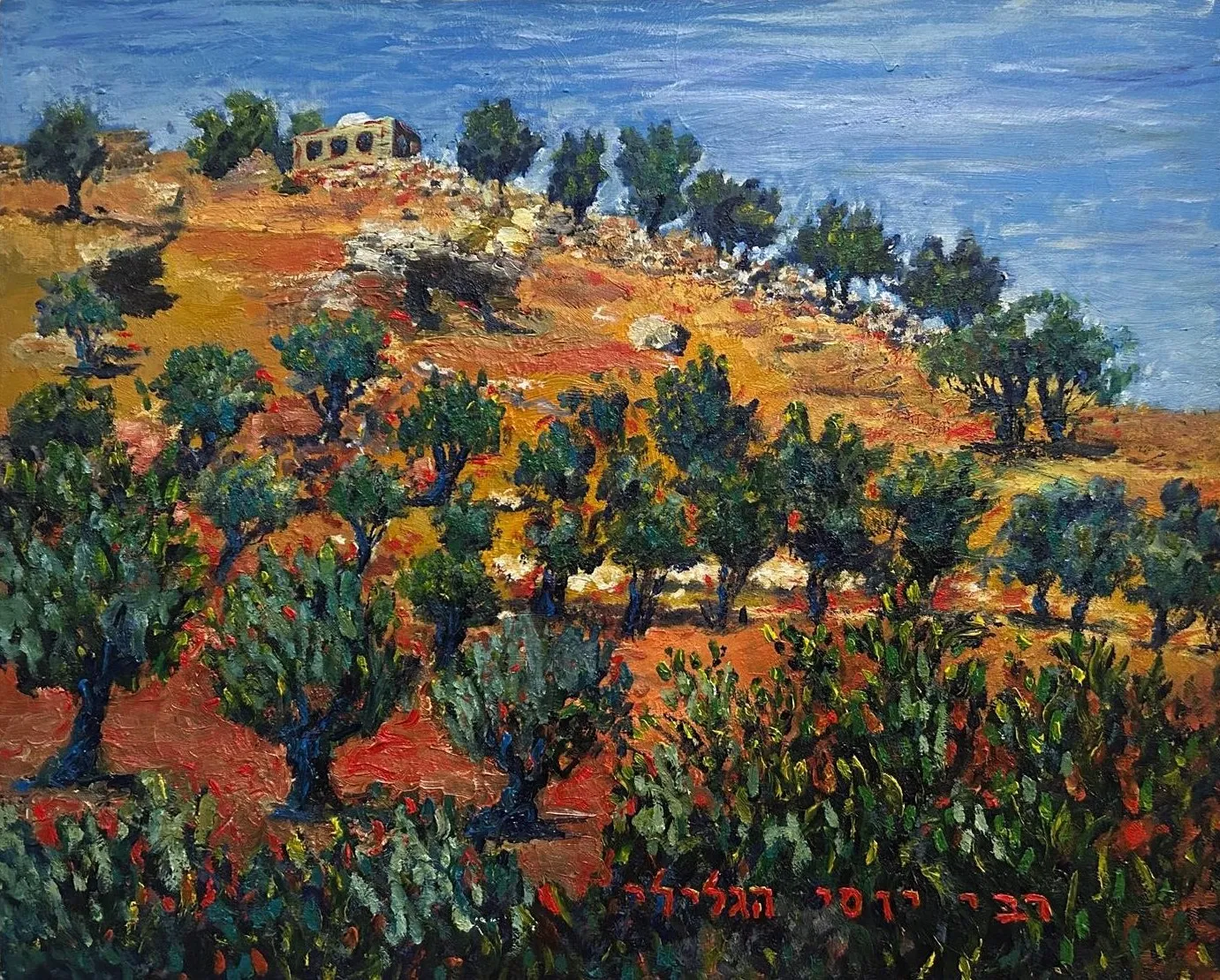Olive Grove, Galilee