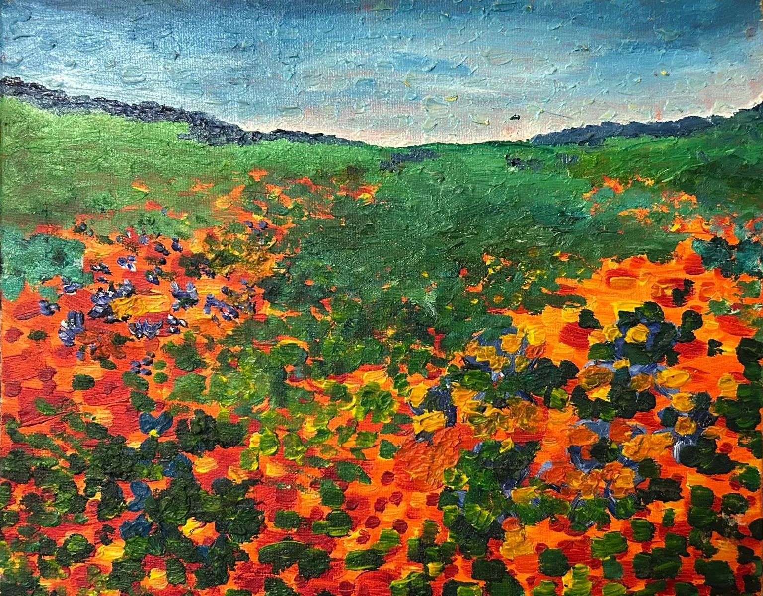 Wildflowers